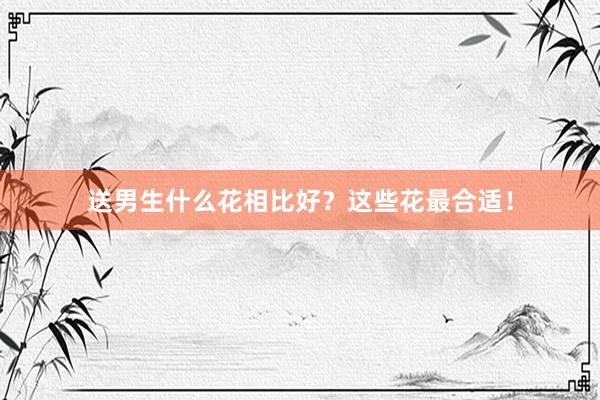 送男生什么花相比好？这些花最合适！