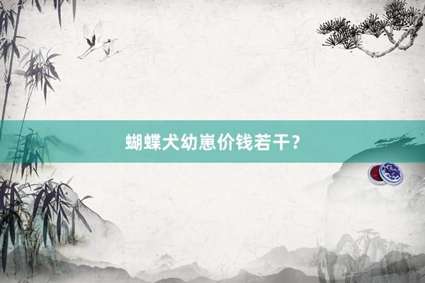蝴蝶犬幼崽价钱若干？