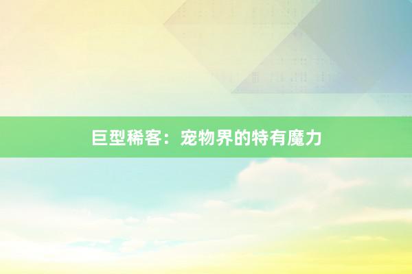巨型稀客：宠物界的特有魔力
