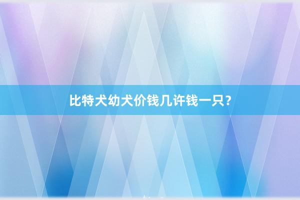 比特犬幼犬价钱几许钱一只？
