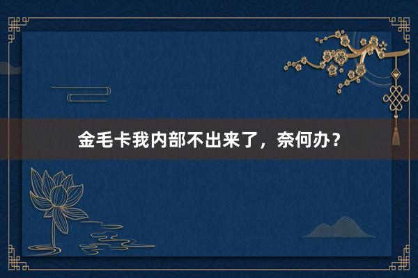 金毛卡我内部不出来了，奈何办？